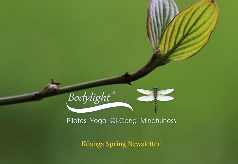 Newsletter