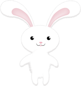 Easter Pilates and Yoga Mission bay